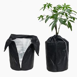 Autres outils de jardin Plantes Couverture antigel antigel Isolation thermique Coque de protection Réutilisable Hiver Bonsai Flower Protect Equipment 230422