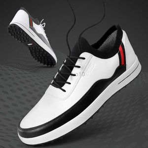 Otros productos de golf Zapatos de golf PGM Hombres Zapatos casuales impermeables y transpirables Zapatillas deportivas antideslizantes Zapatillas de golf estilo Brogue para exteriores HKD230727