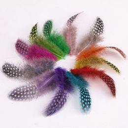 Autres outils à main 100pcslot plumes de plumage de poule d'Inde à pois pour l'artisanat plumes de faisan tachetées de perles pour la fabrication de bijoux Carnaval Plumas 230828