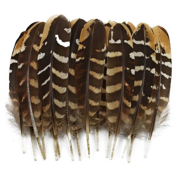 Otras herramientas de mano 100 piezas al por mayor Raras plumas de faisán de águila natural para manualidades Pollo Pájaro Pluma Artesanía Joyería Decoraciones artificiales 231005