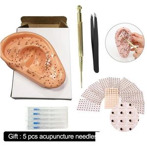 Andere gezondheidszorgartikelen 4 in 1 ooracupunctuurpunten Set Modelpers Zaadsonde 13 cm Menselijke medische Auricar-acupunten met Engelse Dro Dhtdd