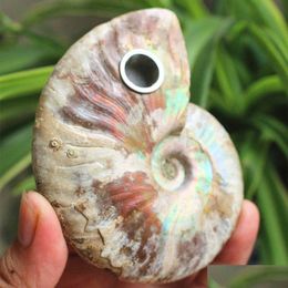 Autre décoration intérieure 7-8 cm Ammonite Numeure Fumer Conch Fossile Fossile Smoke Tube Crystal for Tobacco Gemstone Wand Arts and Crafts Reiki H DHMZQ