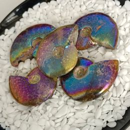 Andere thuisdecor Aura Aura Rainbow Ammonite Specimen Ammolite Ocean Dier Slak Conch Madagascar Origineel Mineral 230327