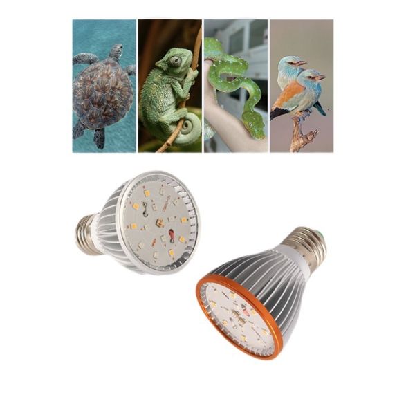 Autres Accueil Jardin Spectre complet UVA UVB Reptile Ampoule LED Lampe UV pour tortue lézard serpent chauffage Terrarium animaux Rettili accessoire 230925