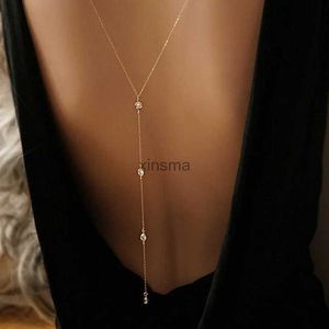 Autres ensembles de bijoux Nouvelle mode Punk 2018 collier dos collier Simple cristal dos collier dame vente en gros Colar Feminino YQ240204