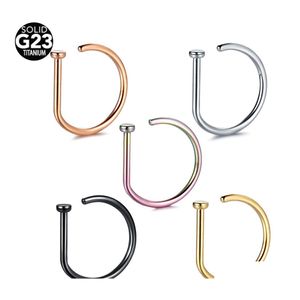 Autres bijoux de corps de narine titane faux nez piercing en forme de D tragus boucle d'oreille cerceau septum anneau livraison directe Dhmam