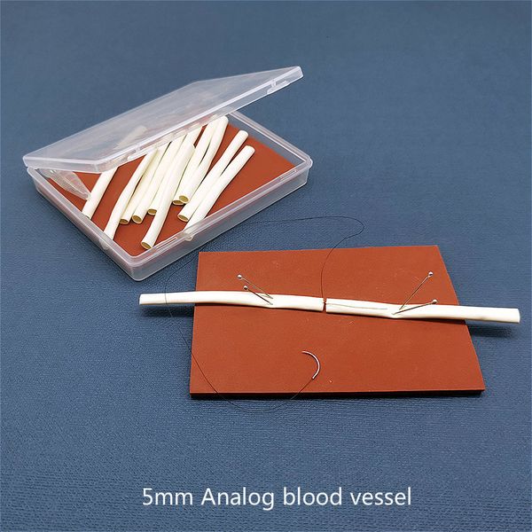 Autres fournitures scolaires de bureau Microchirurgie anastomose et suture des vaisseaux sanguins Pratique Tube analogique bout à bout Outil de formation pédagogique modèle 230130