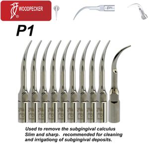 Autre hygiène bucco-dentaire 10pcs Woodpecker Original Parodontie dentaire Conseils à ultrasons Calcul sous-gingival Mise à l'échelle P1 Fit EMS UDS 230915