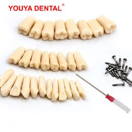 Autre hygiène bucco-dentaire 2832pc modèle de dents dentaires pour la préparation de la pratique du technicien dentaire dent amovible compatible avec le modèle de formation en dentisterie Nissin 230617