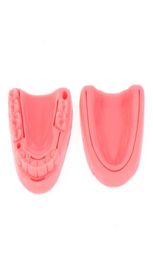 Outra higiene oral 2pcs kit de treinamento de sutura de pele almofada dental módulo de goma oral silicone periodontite modelo 2211145079032