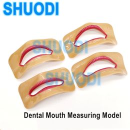 Andere orale hygiëne 4 PCS DENTAL LAB DOTTURE LABORORY LABORATIEKE ESTHETISCHE ONDERDELEN Mond meten van lipmeetgereedschap lipvorm verschillende vorm 230524