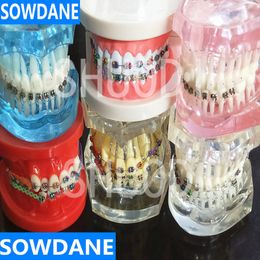 Andere Mundhygiene, zahnärztliche Mundpflege, Zahnzähnemodell, zahnärztliches kieferorthopädisches Modell für die Patientenkommunikation, Zahnarztstudienmodell 230524