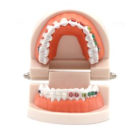 Andere mondhygiëne Tandheelkundige orthodontische behandeling Model Typodont met ortho metalen keramische beugel Boog Draad Orthodontische getande prothese Model 230617