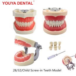Andere orale hygiëneharshars tandheelkundige model Training typodont tandenmodel voor tandtechnicus praktijk leren tandvlees tanden model tandheelkunde apparatuur 230508