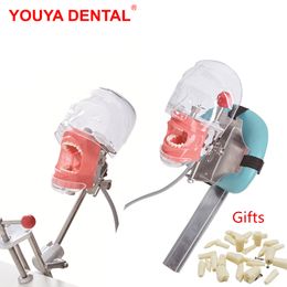 Andere mondhygiëne Eenvoudig hoofdmodel Dental Simulator Phantom Manikin met tanden voor tandartsonderwijs Practice Training Studie Tandheelkunde apparatuur 230421