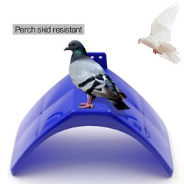 Autres fournitures pour animaux de compagnie 1020 pièces mode plastique perchoir repos support cadre perroquets bleu logement perchoirs perchoir pour oiseau 230701