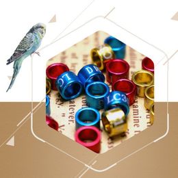 Andere huisdierbenodigdheden 50 pc's mix kleurpoot pluimvee vogel papegaai clip ringen band voet ring apparaten liefdesgebieden bord 230816