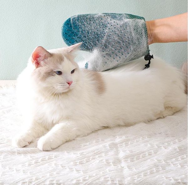 Otros suministros para mascotas Mocat guantes de silicona cepillo de depilación baño de perro peine de masaje