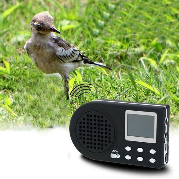 Otros suministros para mascotas Amplificador de altavoz de sonido de pájaro al aire libre con pantalla LCD Sin control remoto BNF 221122