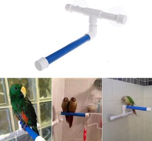 Autres fournitures pour animaux de compagnie Pet Perroquet Bain Douche Perches Plate-forme debout Rack Ventouse Murale Oiseau 221122