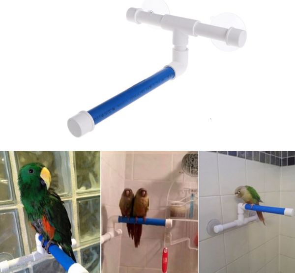 Otros suministros para mascotas Pet Parrot Bath Shower Perches Plataforma de pie Rack Ventosa Wall Cup Bird 221122