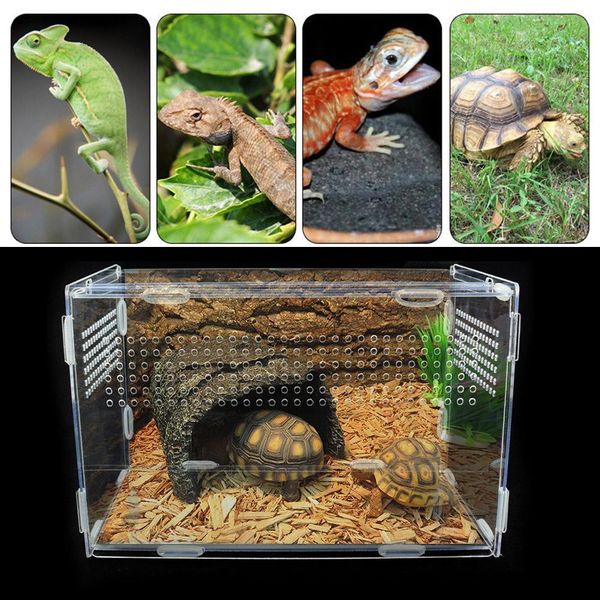 Otros suministros para mascotas caja de reptiles de terrario de acrílico duradero grande transparente para animales de sangre fría insectos decoración del hogar 230802