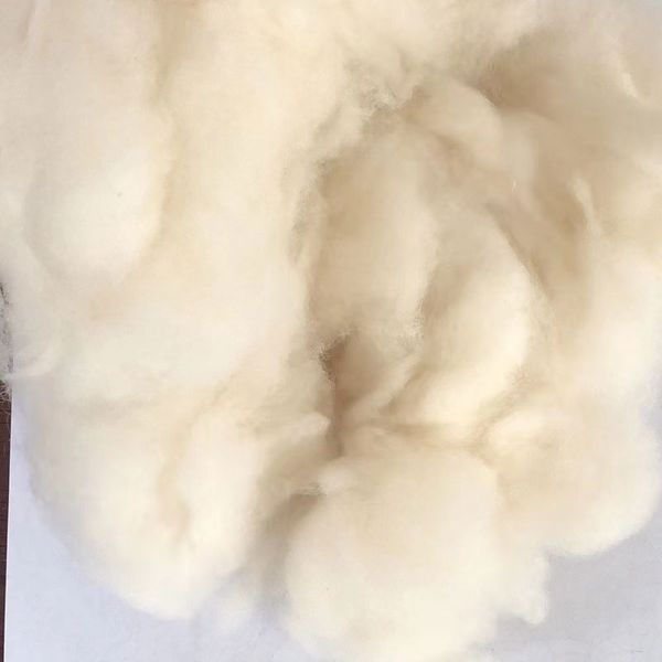 Altre materie prime Bianco senza peluche Fornitura diretta in fabbrica Acquisto si prega di contattare