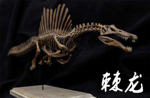 Andere speelgoed 1/20 spinosaurus skeletmodel Dinosaur Animal Atlas Spinosaurus Education GK Decoratief geschenk speelgoed Paintingl240502