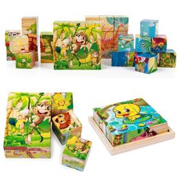 Autres jouets 3d cube en bois puzzle childrens neuf pièces à six siaresses en bois plateau montessori apprentissage éducation puzzle toys for enfants s245176320