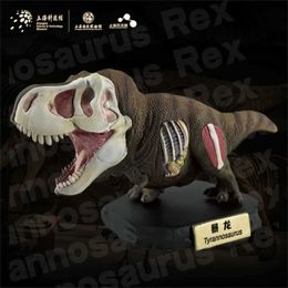 Autres jouets Animal Paradise Body Tyrannosaurus rex Model Dinosaur Museum Limited Figures t-rex Collector Decoration Reality Toy GiftsL240502