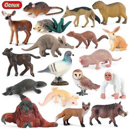 Autres jouets Oenux New Wildlife Forest Orangutan Pigeon Hedgehog Aardvark Capybara Action Diagramme Modèle PVC Série Childrens Toys S245176320