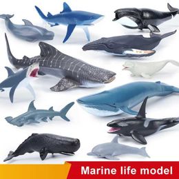 Autres jouets Simulaté de créature marine Diagramme de baleine Cactus Cactus Diagramme Marine Animal Modèle Dolphin Hammer Educational TOYL240502