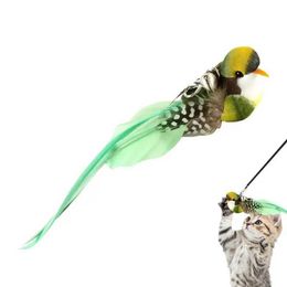 Ander speelgoed dat leuke stok gebruikt in plaats van koppen verschillende kattenstokken veren vogels vogels plagen speelgoed kittens huisdierproducten