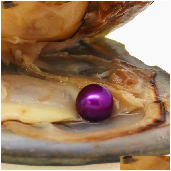 Autre vide en gros emballé emballé en eau douce perle coloride 18 violet un total de 28 couleurs drop livraison bijoux perles lâches dholf