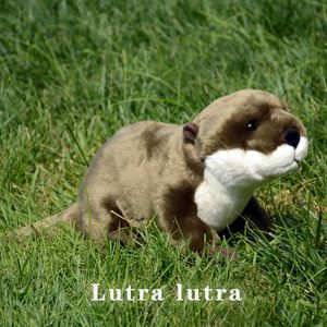 Otter Anime Bank Bank Beaver Plushie LUTRA PLOUGE TOYS ANIMALS SIMULATIONS SIMULATION COPES TOUEUX DE POUPE ENFANTS 231225