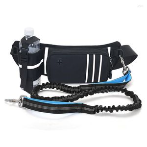 Sacs de plein air sport course taille sac lumineux Jogging randonnée téléphone portable avec porte-bouteille chien laisse pour marcher le