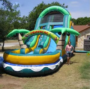 Juegos al aire libre Adultos personalizados/niños Jumping Castles Comercial Casa de rebote de agua inflable Diapositiva con estilo de palmera