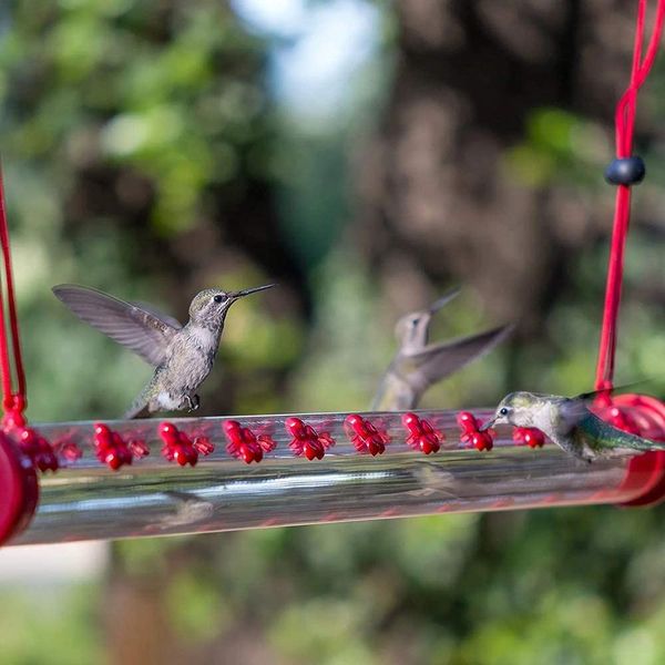 Tubes d'alimentation pour colibris en plein air, mangeoires pour oiseaux sauvages, arbre de jardin suspendu, fournitures pour oiseaux