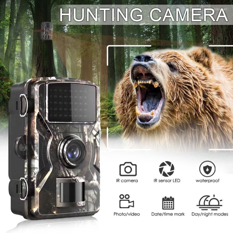 Caméra de chasse extérieure 1080P détecteur d'animaux sauvages piste surveillance étanche capteur de chaleur infrarouge Vision nocturne