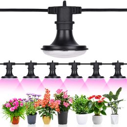 Buiten LED-kweeklampen String, 120W vol spectrum Plantlamp, voor kas, tuin, zaailing, groenten, bloem, verticale boerderij, waterdichte 6-bbligingen UL