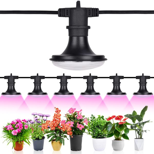 Cadena de luces LED para cultivo al aire libre, lámpara de planta de espectro completo de 120 W, para invernadero, jardín, plántulas, verduras, flores, granja vertical, 6 bombillas a prueba de agua UL