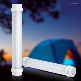 Lumière de secours portative extérieure de LED 20cm Tube rechargeable d'USB Luminosité réglable Lampe de tente de camping Lumières