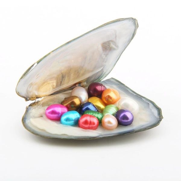 Ovale Oyster Pearl 6-7mm Mix 15 Couleur Eau Douce Perle Naturelle Cadeau DIY Décorations En Vrac Emballage Sous Vide En Gros Perles Huître