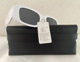 sur lunettes lunettes de soleil dames designers Mica mode populaire Marques rétro Lunettes de cadre en forme d'oeil de chat Loisirs style sauvage Protection UV400 livrées avec la boîte