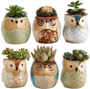 Pot de hibou en céramique, Base de glaçure fluide, plante succulente, récipient de fleur de Cactus, jardinière, Pots de bonsaï avec un trou parfait