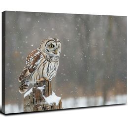 Owl Wall Art Animal Picture Canvas Print Decor for Home Bedroom Living Room Office