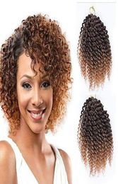 Pak van 3 Marlybob Gehaakte Vlechten Haar Ombre Afro Kinky Krullend Vlechten Hair Extensions voor Meisje Women8quot T1b271514346