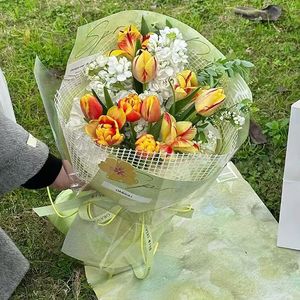 Papier d'emballage 50cm * 5Y / Roll Flower Net Fil Papier d'emballage Arc-en-ciel Grille d'emballage Square Mesh Bouquet Flower Packaging Craft Paper 230601