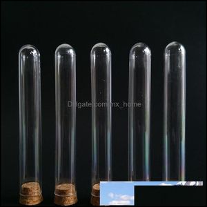 Bouteilles d'emballage tube à essai en plastique PS de qualité alimentaire transparent avec bouchon en liège 15x100mm 11ml vente en gros WB1229 livraison directe 2021 bureau école Bu