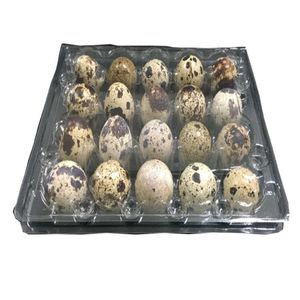 Cajas de embalaje al por mayor 18 hoyos de huevos de huevos de codorniz Recipiente vacío Caja vacía 6/12/15/20/24/30 HIPOS PLÁSCO Clear de almacenamiento de huevos Clazo O DHW3M